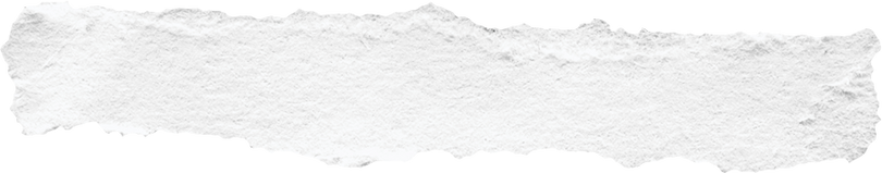 Piece of White Ripped Paper